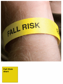 Tyvek Fall Risk Alert Wristbands